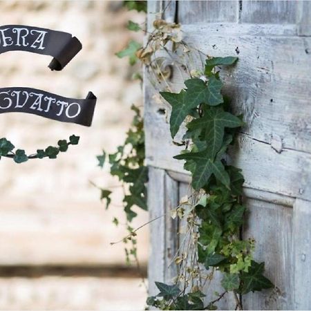 Edera Dei Guatto Bed & Breakfast Bertiolo Bagian luar foto
